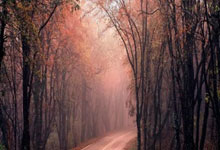 芬兰队在最近一场比赛中实现了连胜